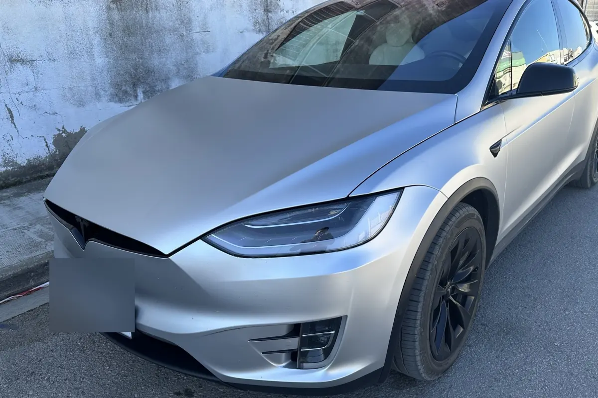 Tesla Model X plata aparcado en la calle